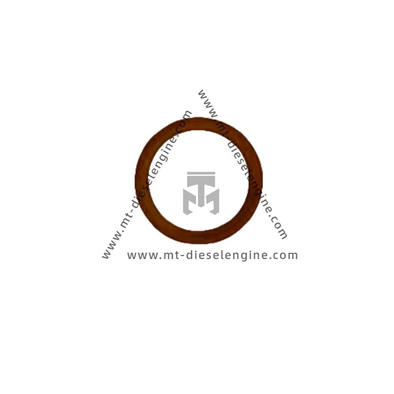 Sealing Ring 01118737 0111 8737 1118737 For Deutz TCD4.1 Engine