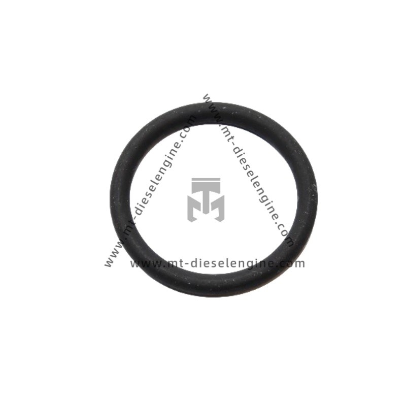 O-seal 01180290 0118 0290 1180290 For Deutz TCD4.1 Engine