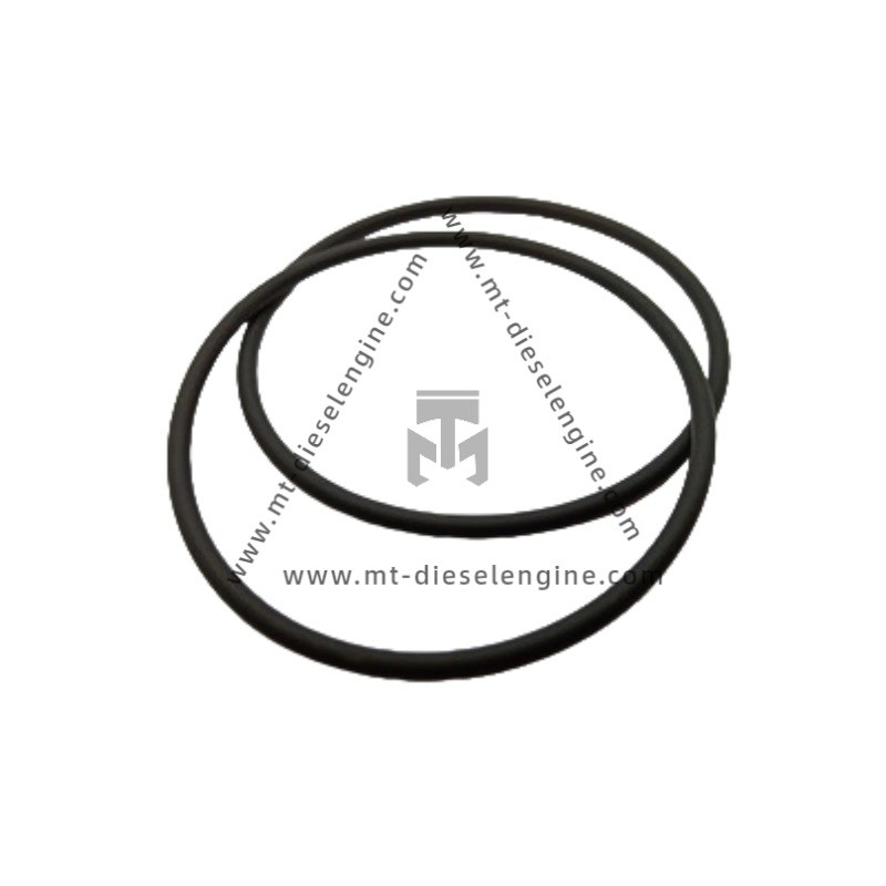 O-seal 01182028 0118 2028 1182028 For Deutz TCD4.1 Engine