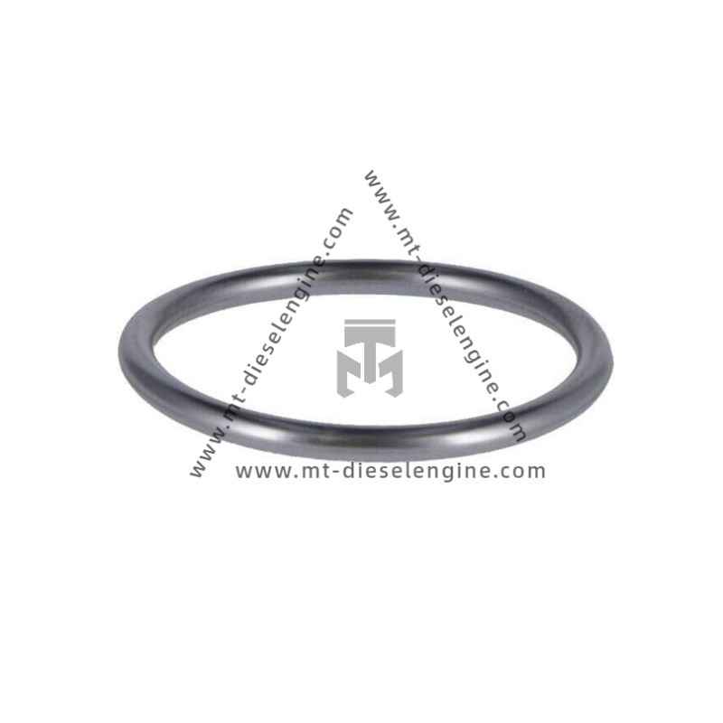 O-seal 01182854 0118 2854 1182854 For Deutz TCD4.1 Engine