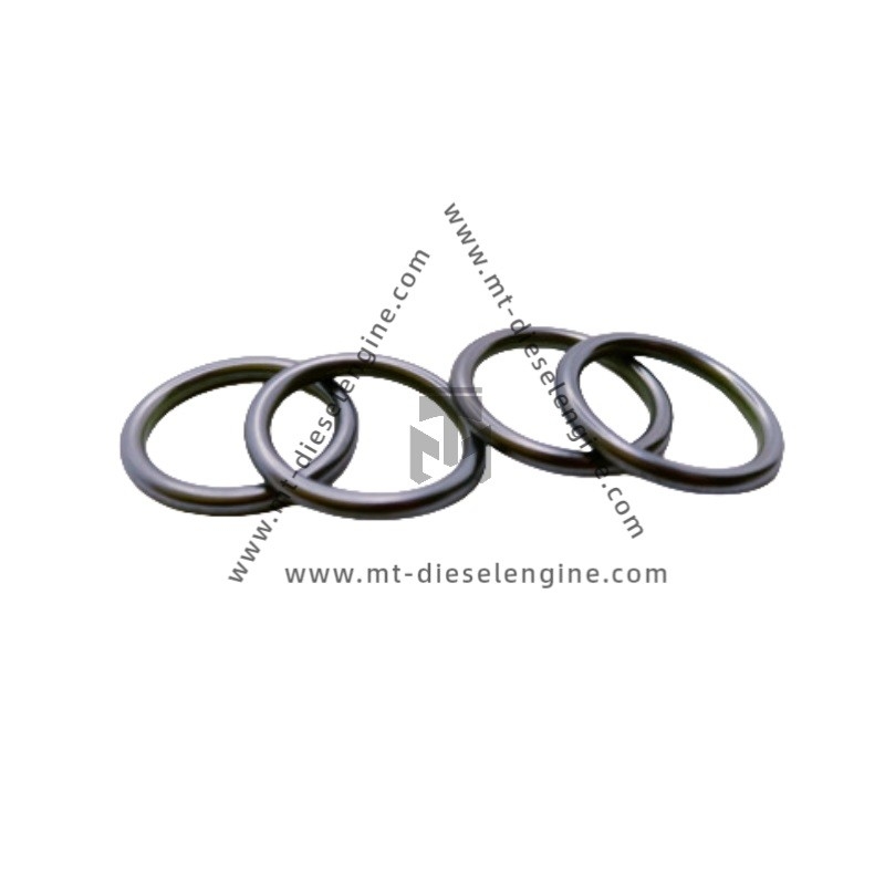 O-seal 01182897 0118 2897 1182897 For Deutz TCD4.1 Engine