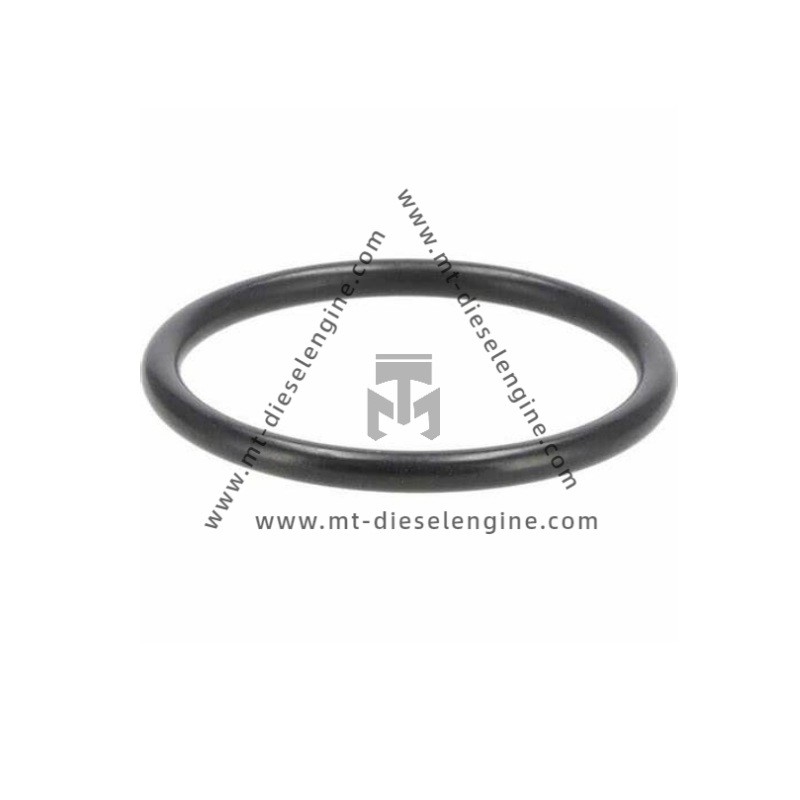 O-seal 04502241 0450 2241 4502241 For Deutz TCD4.1 Engine