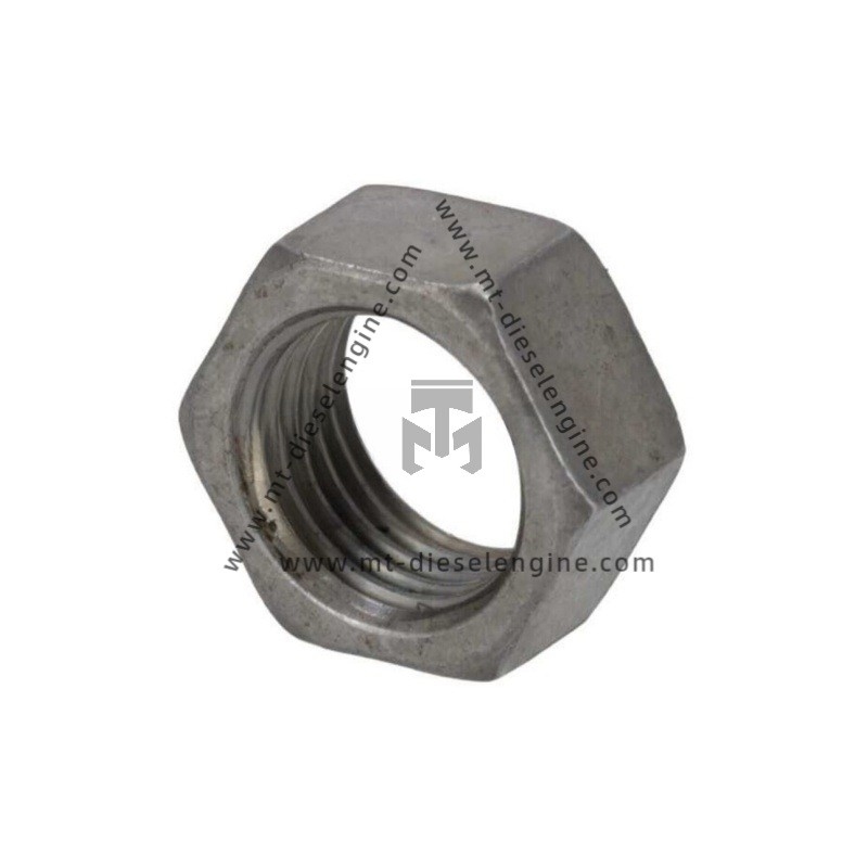 Hexagon Nut 02109637 0210 9637 2109637 For Deutz TCD4.1 Engine
